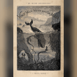 Jules Verne - 200,000 Leagues Under the Seh Reviews | RateItAll