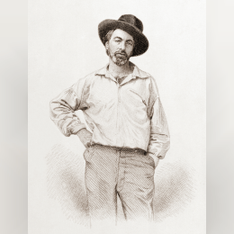 Walt Whitman - Leaves of Grass image