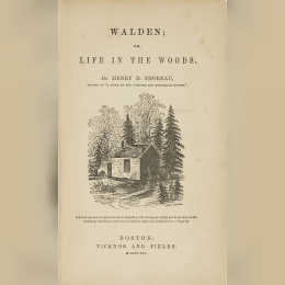 Henry David Thoreau -  Walden image