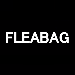 Fleabag image