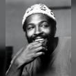 Marvin Gaye Reviews | RateItAll