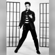 Elvis Presley Reviews | RateItAll