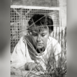 Harper Lee Reviews | RateItAll