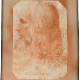 Leonardo da Vinci image