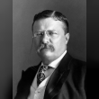 Theodore Roosevelt Reviews | RateItAll