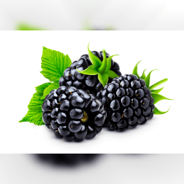 Blackberries image