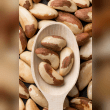 Brazil Nuts Reviews | RateItAll