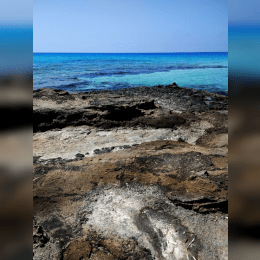 Cala Saona, Formentera image