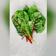 Chard  Reviews | RateItAll