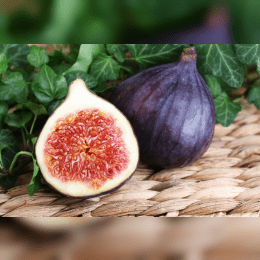 Figs image