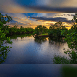 Florida Everglades image