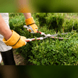Gardening Reviews | RateItAll