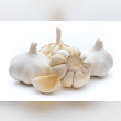 Garlic Reviews | RateItAll