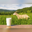 Goat Milk Reviews | RateItAll