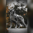 Great Dane Reviews | RateItAll