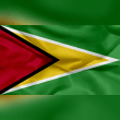 Guyana Reviews | RateItAll