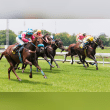 Horse racing Reviews | RateItAll