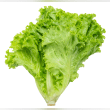 Lettuce Reviews | RateItAll
