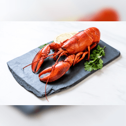 Lobster image
