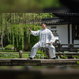 Martial Arts Movies image