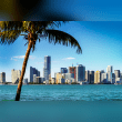 Miami, USA Reviews | RateItAll
