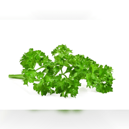 Parsley image