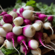 Radish Reviews | RateItAll