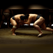 Sumo wrestling Reviews | RateItAll
