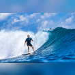 Surfing Reviews | RateItAll
