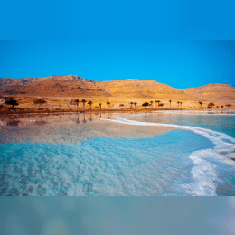 The Dead Sea image