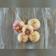 Turnips Reviews | RateItAll