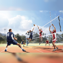 Volleyball image