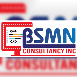 Bsmnconsultancy image