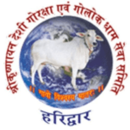 Know the Incredible Benefits of Cow image