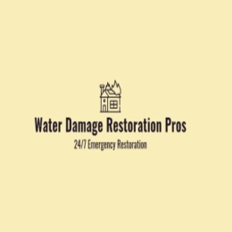 Water Damage Restoration Pros image