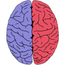 Neuroscientifically Challenged image