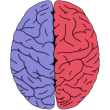 Neuroscientifically Challenged Reviews | RateItAll