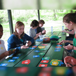 Dutch Blitz image