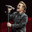 Bono Reviews | RateItAll