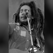 Bob Marley Reviews | RateItAll
