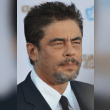 Benicio Del Toro Reviews | RateItAll