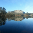 Stone Mountain Reviews | RateItAll