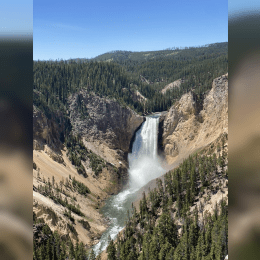 Yellowstone National Park, USA image