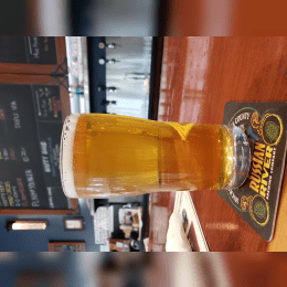 Piny the Younger image