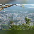 Phuket, Thailand Reviews | RateItAll