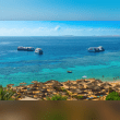Sharm El Sheikh, Egypt Reviews | RateItAll