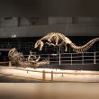 Yutyrannus Reviews | RateItAll