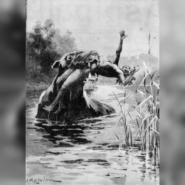 Bunyip image