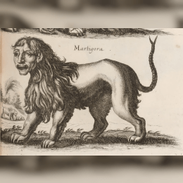 Manticore image