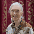 Jane Goodall Reviews | RateItAll